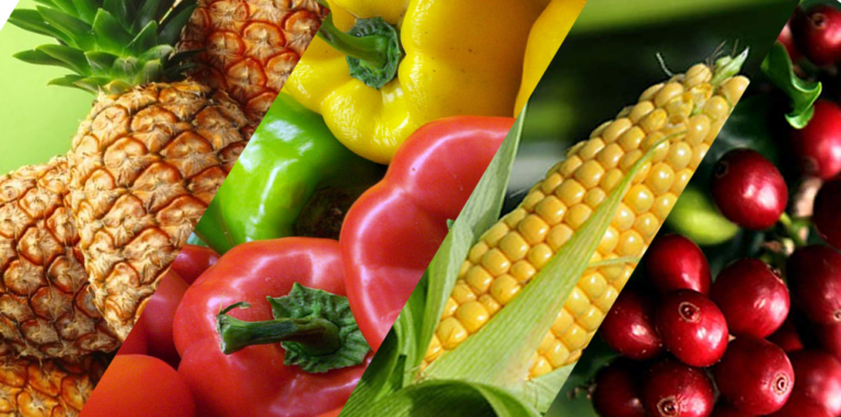 Cultivos y productos agrícolas